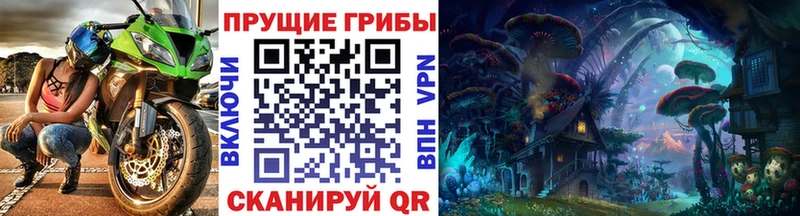 маркетплейс официальный сайт  Курск  Галлюциногенные грибы ЛСД 
